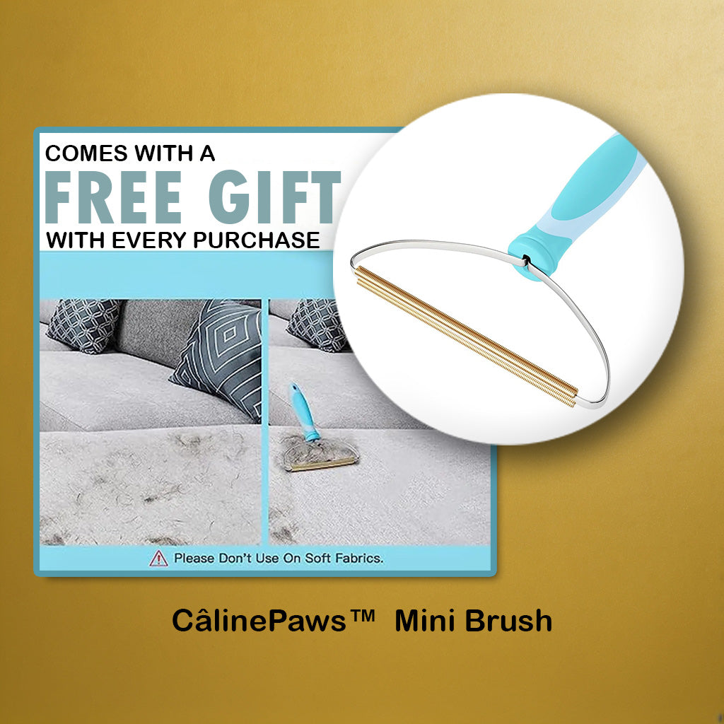 CâlinePaws™ Hair Removal Broom